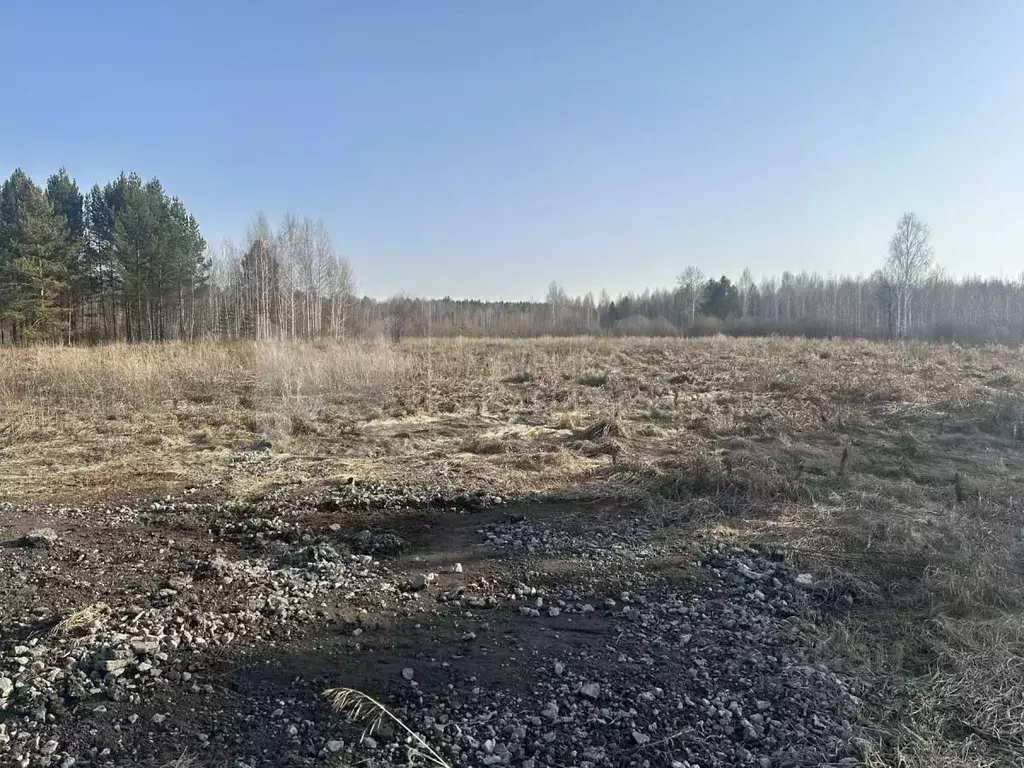 Участок в Тюменская область, Нижнетавдинский район, Березка СНТ  (10.0 ... - Фото 0