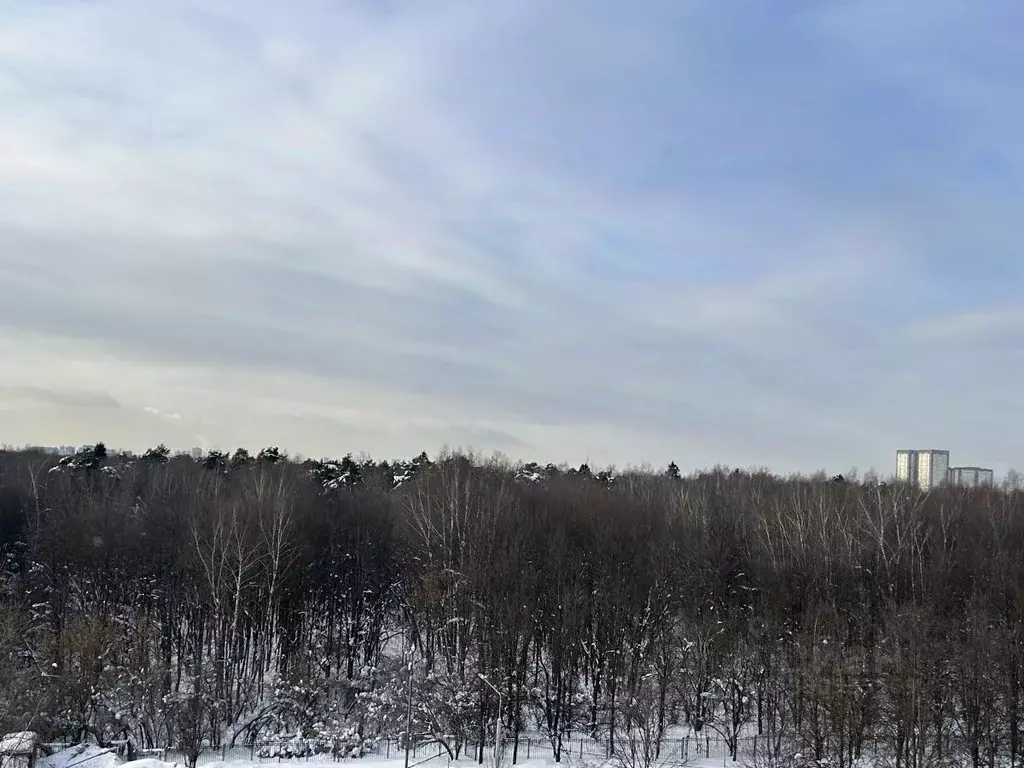 2-к кв. Москва ул. Чечулина, 2 (54.0 м) - Фото 1