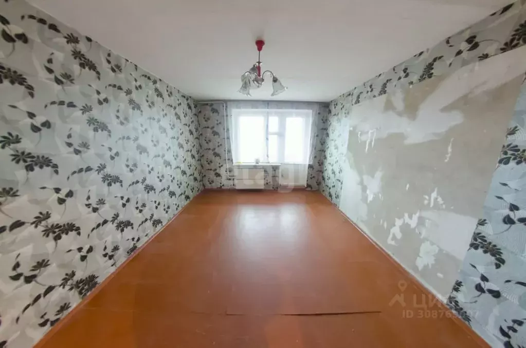 3-к кв. Курганская область, Шадринск ул. Ефремова, 62 (59.9 м) - Фото 1