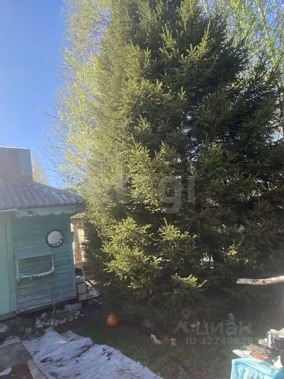 Дом в Вологодская область, Вологда Доронино садоводческое ... - Фото 1