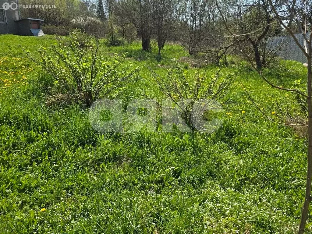 Участок в посёлок Новая Ольховка, Северная улица (6 м) - Фото 2