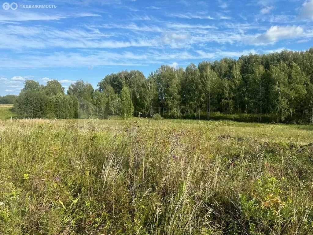 Дом в Тюменская область, Нижнетавдинский муниципальный округ, деревня ... - Фото 1