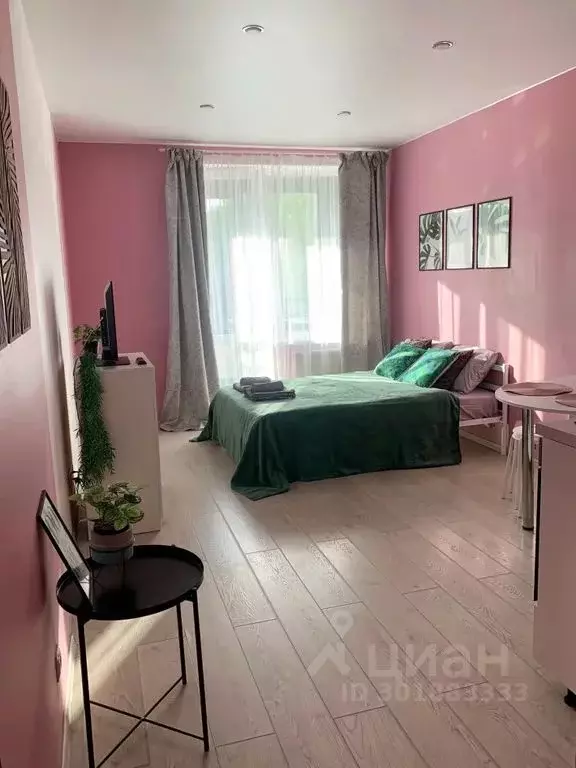 Студия Санкт-Петербург Рыбацкий просп., 18к2 (29.0 м) - Фото 0