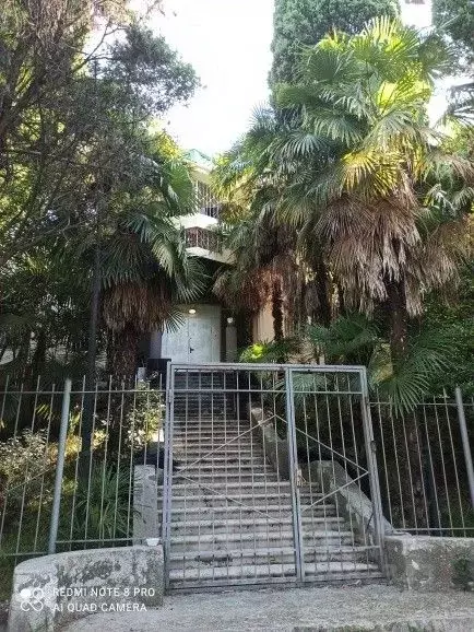 Помещение свободного назначения в Краснодарский край, Сочи Хоста ... - Фото 1