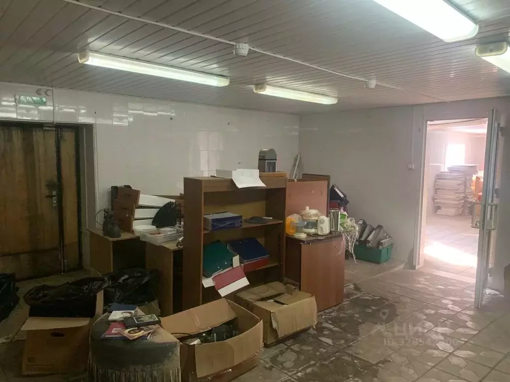 Помещение свободного назначения в Курская область, Курск ул. Пионеров, ... - Фото 2