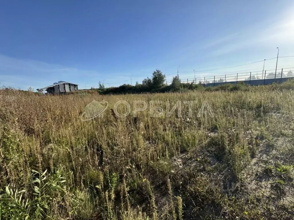 Участок в Тюменская область, Тюменский район, Боровский пгт  (26.0 ... - Фото 2