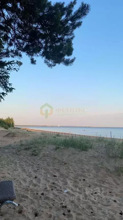 Участок в Ленинградская область, Всеволожский район, Рахьинское ... - Фото 0