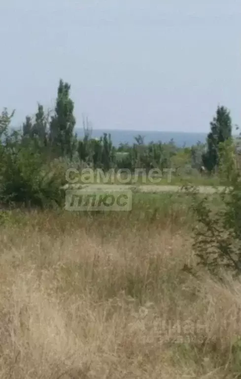 Участок в Крым, Раздольненский район, Славновское с/пос, с. Стерегущее ... - Фото 2