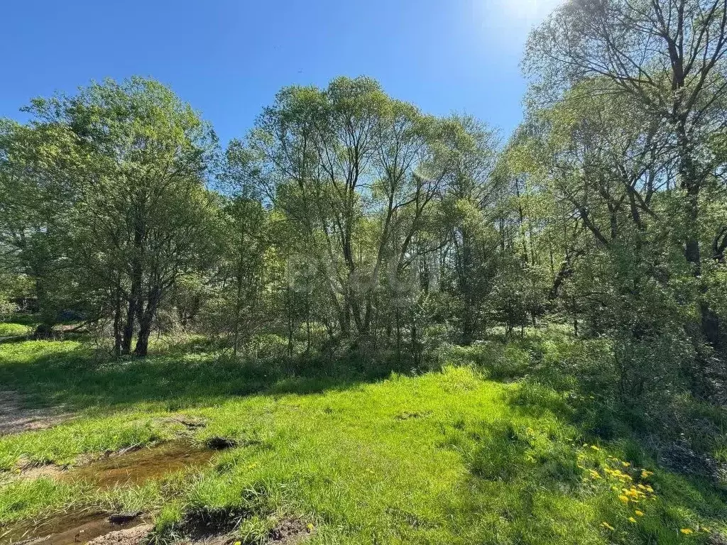 Участок в Смоленская область, Демидовский муниципальный округ, Деревня ... - Фото 1