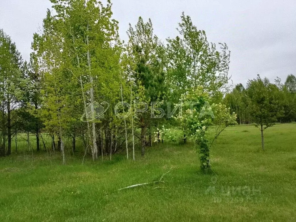 Участок в Тюменская область, Нижнетавдинский муниципальный округ, ... - Фото 2
