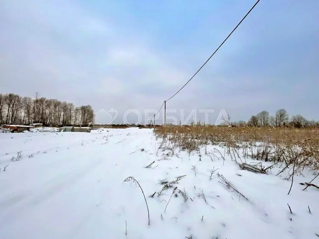Участок в Тюменская область, Тюменский муниципальный округ, ... - Фото 2