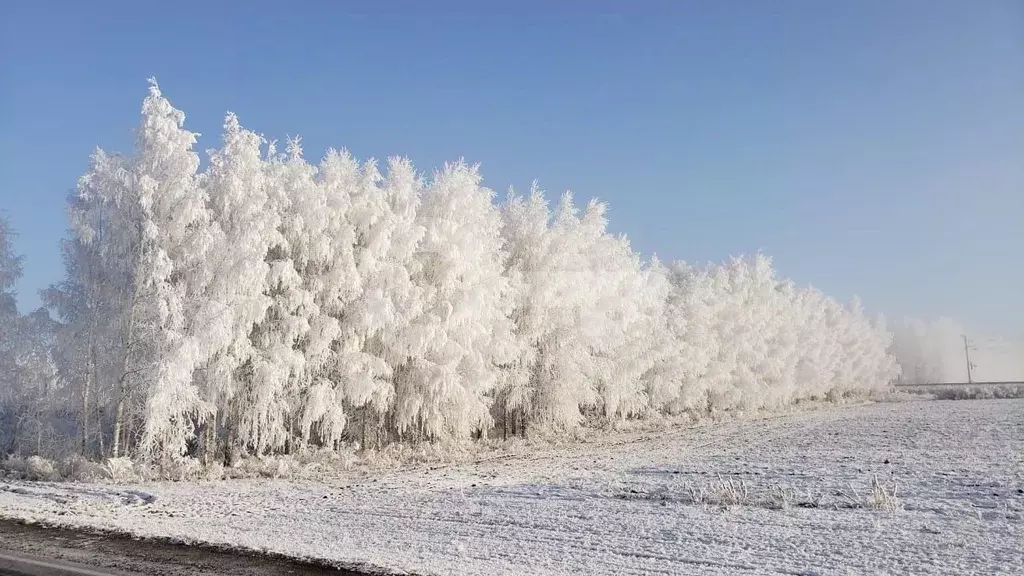 Участок в Татарстан, Лаишевский район, Егорьевское с/пос, д. Зимняя ... - Фото 0