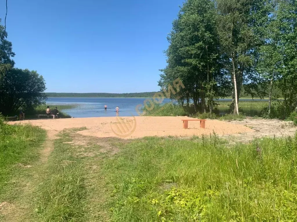 Участок в Ленинградская область, Выборгский район, Гончаровское с/пос, ... - Фото 1