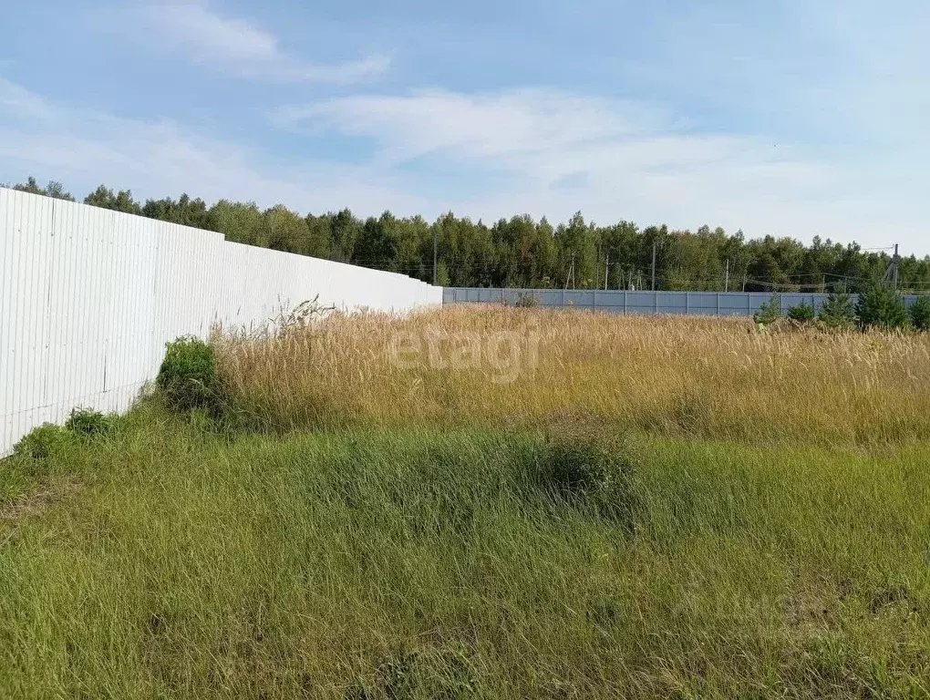 Участок в Татарстан, Лаишевский район, Нармонское с/пос, с. Тетеево  ... - Фото 0