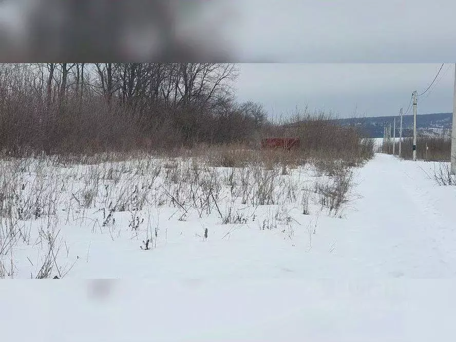 Участок в Воронежская область, Семилукский район, Губаревское с/пос, ... - Фото 2