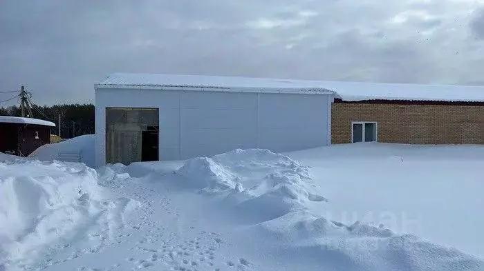 Склад в Башкортостан, Уфимский район, с. Авдон 7 (1000 м) - Фото 0