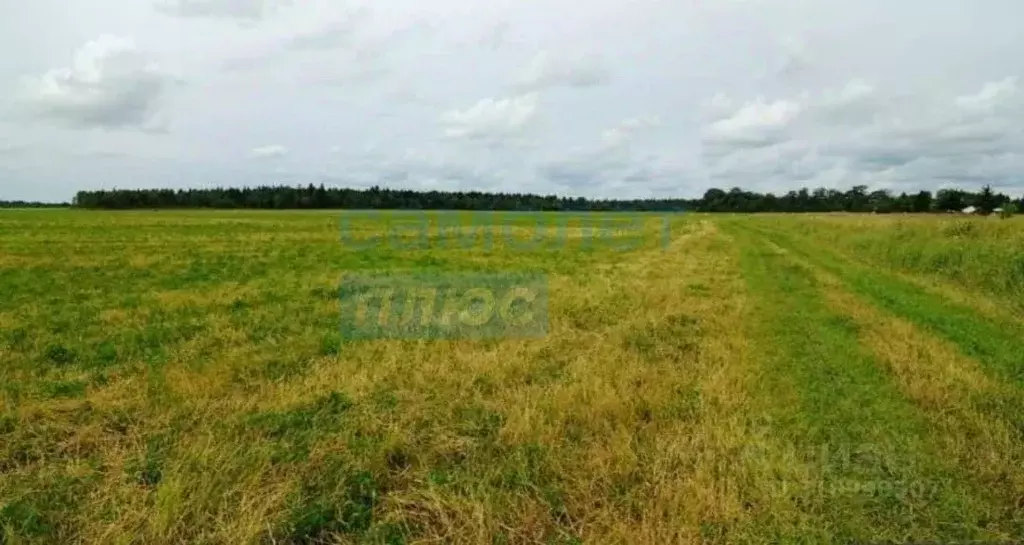 Участок в Крым, Симферопольский район, с. Мирное ул. Ароматная (6.0 ... - Фото 0
