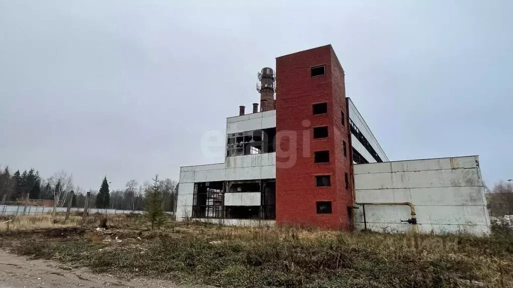 Помещение свободного назначения в Калужская область, Ермолино г. ... - Фото 2