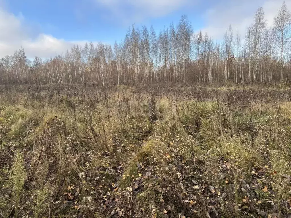 Участок в Владимирская область, Муром  (450.0 сот.) - Фото 1