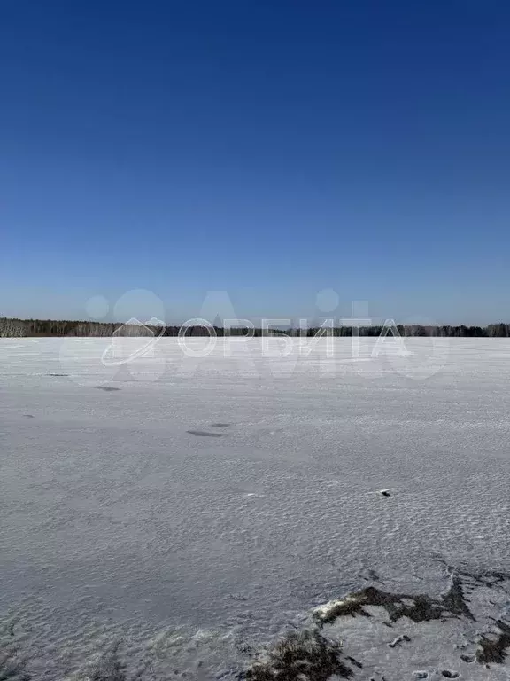 Участок 6 сот. (СНТ, ДНП) - Фото 0