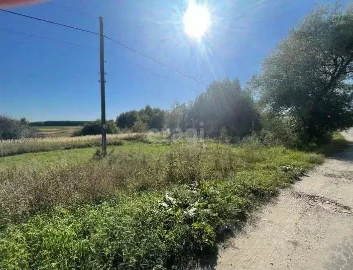 Участок в Владимирская область, Меленковский муниципальный округ, д. ... - Фото 1