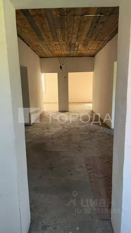 Дом в Новосибирская область, Новосибирский район, с. Толмачево ул. ... - Фото 2