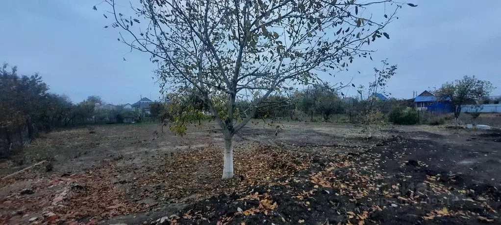 Участок в Краснодарский край, Динской район, Нововеличковское с/пос, ... - Фото 1