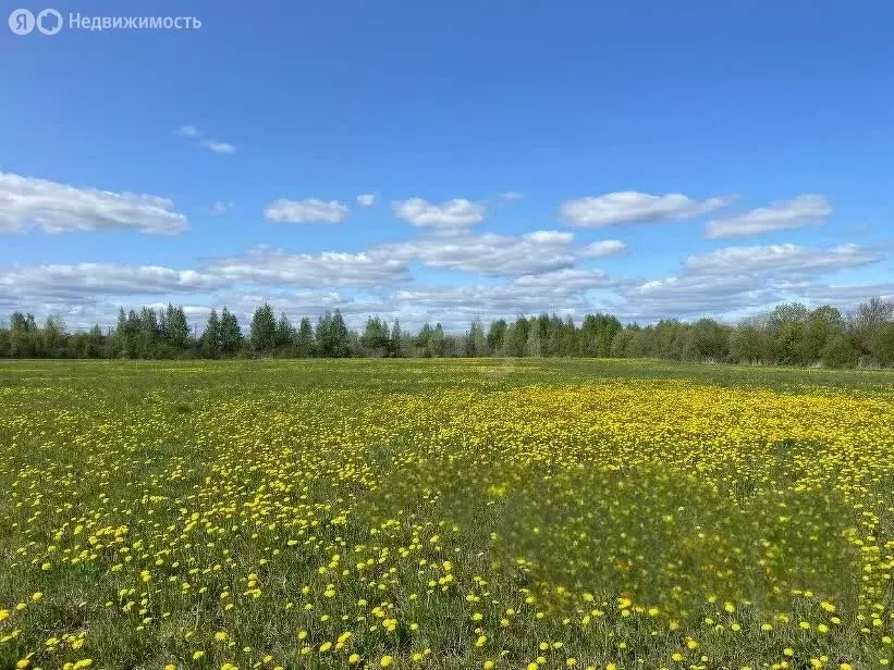 Участок в Вологда (8 м) - Фото 1