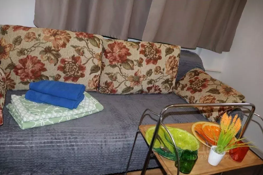 1-к кв. Московская область, Балашиха Железнодорожный мкр, ул. Новая, ... - Фото 1