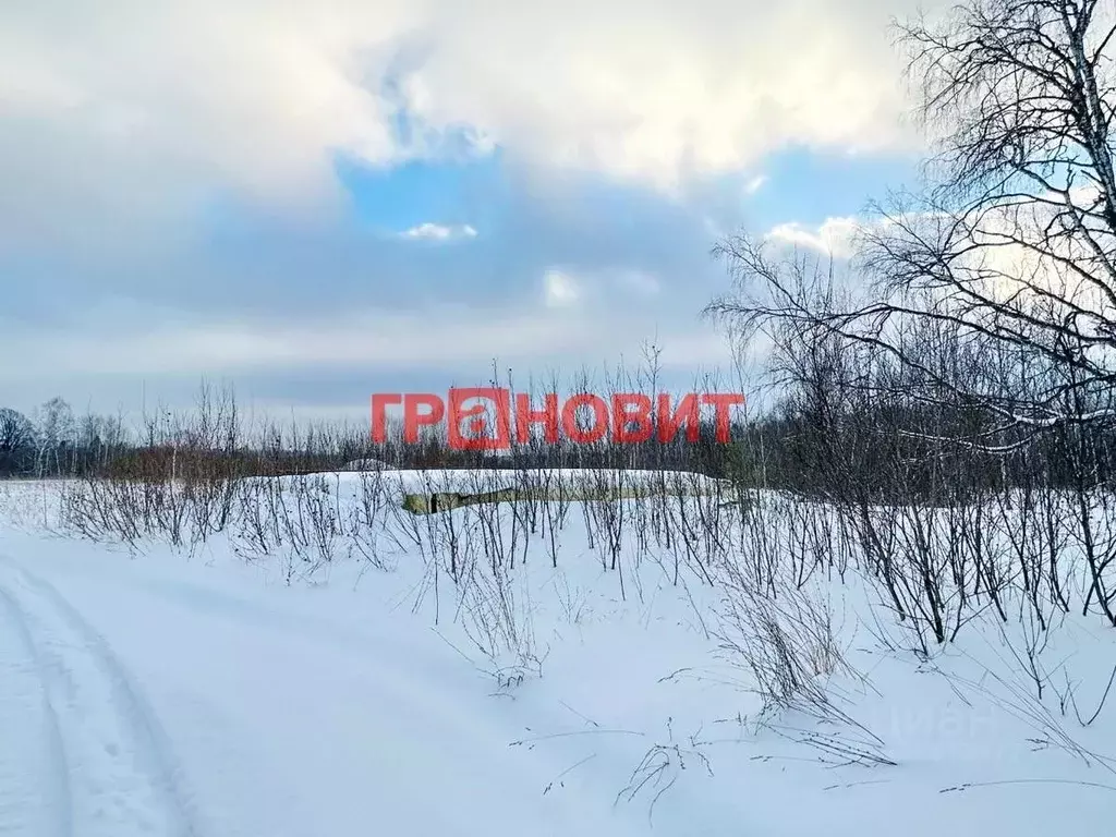 Участок в Новосибирская область, Новосибирский район, Плотниковский ... - Фото 2