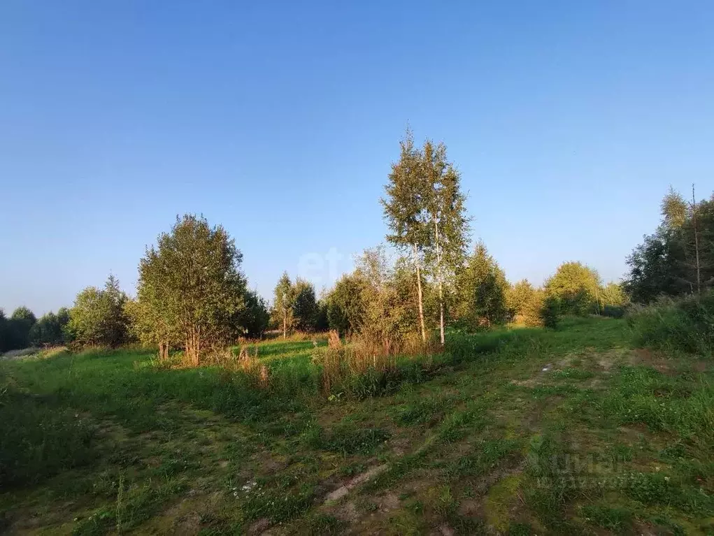 Участок в Коми, Сыктывдинский район, с. Выльгорт  (9.1 сот.) - Фото 1