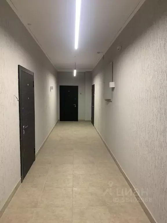 Помещение свободного назначения в Брянская область, Брянск ул. Имени ... - Фото 1