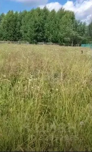 Участок в Пермский край, Соликамский муниципальный округ, пос. Затон  ... - Фото 2