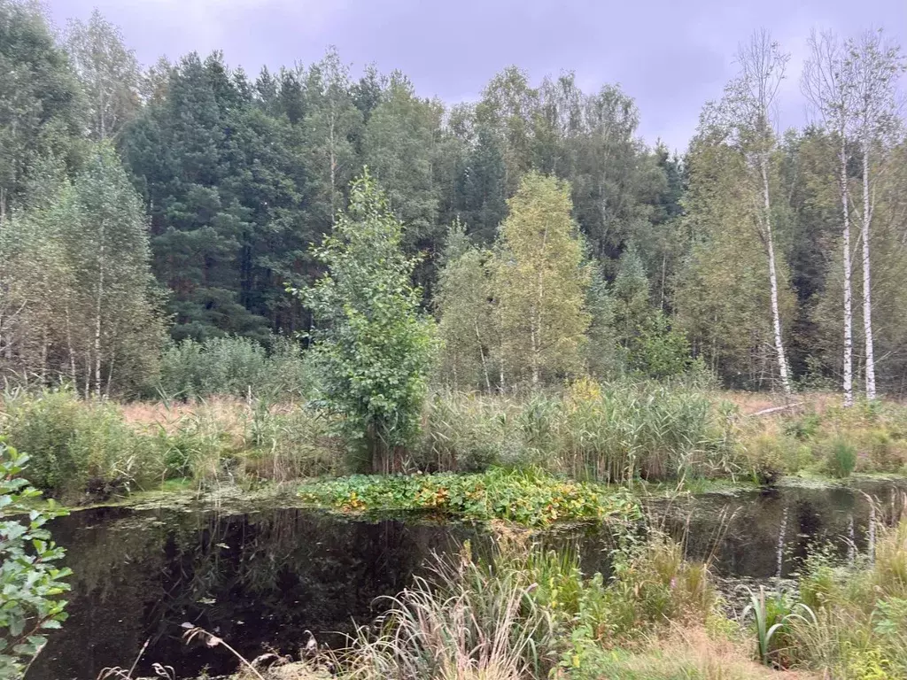 Участок в Рязанская область, Клепиковский район, Ненашкинское с/пос, ... - Фото 2