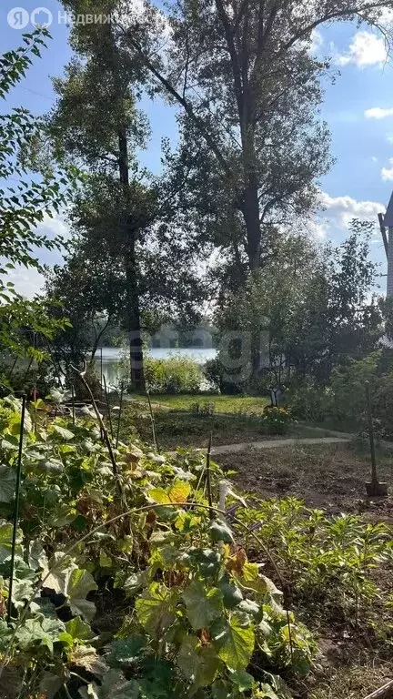 Участок в Безенчукский район, сельское поселение Екатериновка, СДТ ... - Фото 2