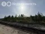 Участок в Тюменский муниципальный округ, ТСН Серебряный Бор (742 м) - Фото 2