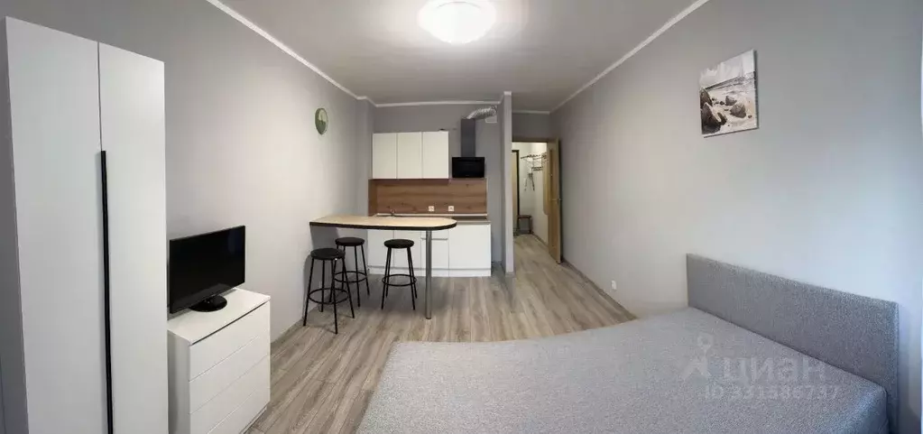 Студия Санкт-Петербург Кондратьевский просп., 64к9 (24.0 м) - Фото 1