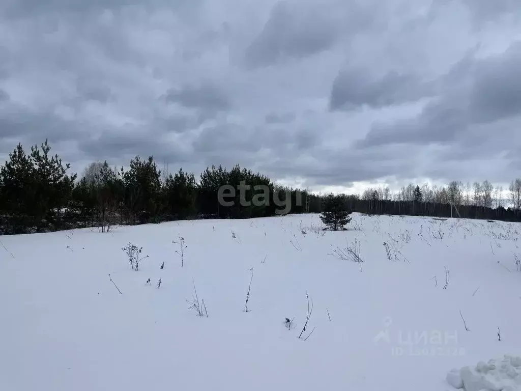 Участок в Владимирская область, Селивановский район, Малышевское ... - Фото 0