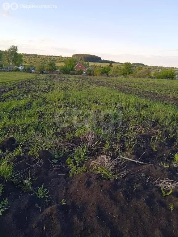 Участок в село Пензятка, Саранская улица (24 м) - Фото 0