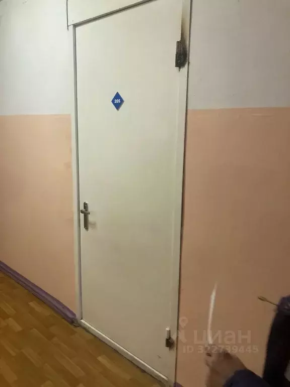 Помещение свободного назначения в Красноярский край, Красноярск ул. ... - Фото 1