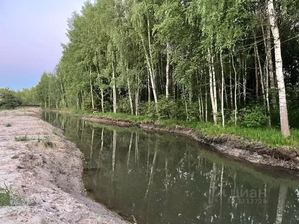 Участок в Владимирская область, Киржачский район, Филипповское ... - Фото 0