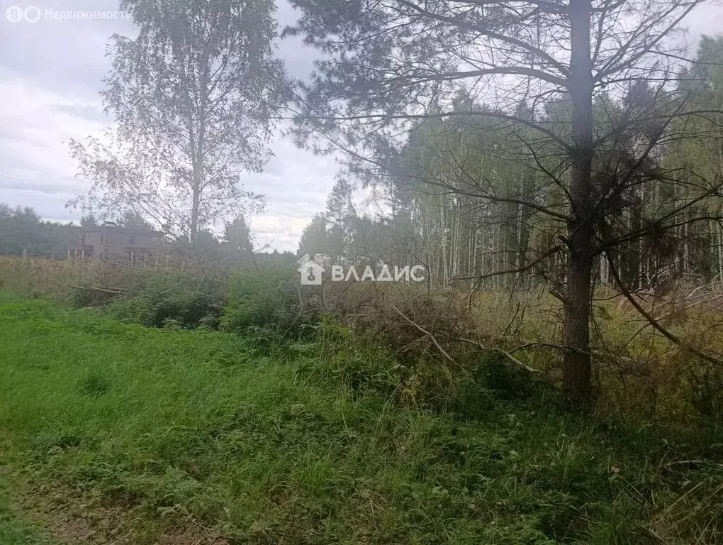 Участок в Владимир, Дербенёвская улица (972 м) - Фото 1