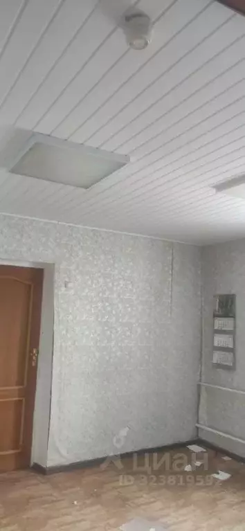 Помещение свободного назначения в Орловская область, Колпна пгт ул. ... - Фото 1