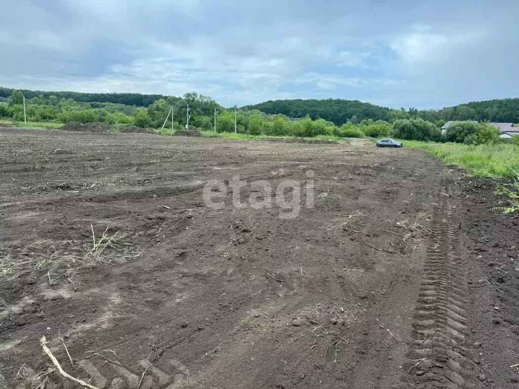 Участок в Мордовия, Рузаевский район, пос. Левженский  (10.0 сот.) - Фото 2