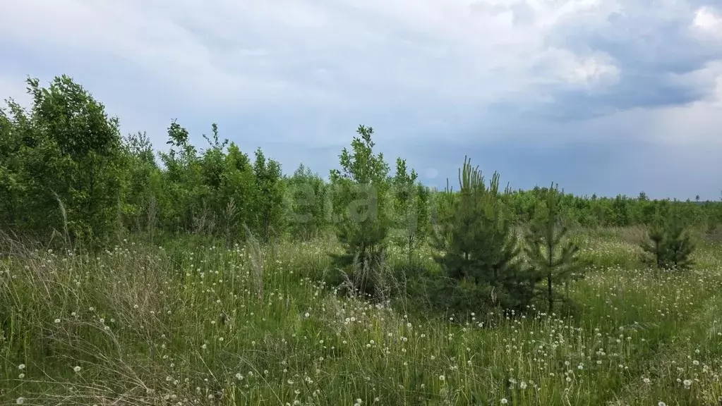 Участок в Свердловская область, Горноуральский муниципальный округ, с. ... - Фото 1