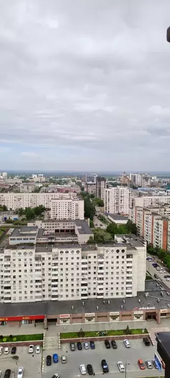 4-к кв. Алтайский край, Барнаул Красноармейский просп., 61Б (106.9 м) - Фото 2