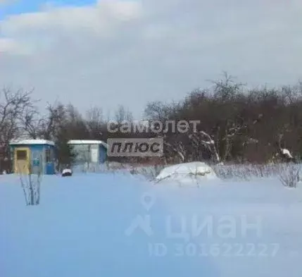 Дом в Нижегородская область, Вадский муниципальный округ, с. Зеленые ... - Фото 1