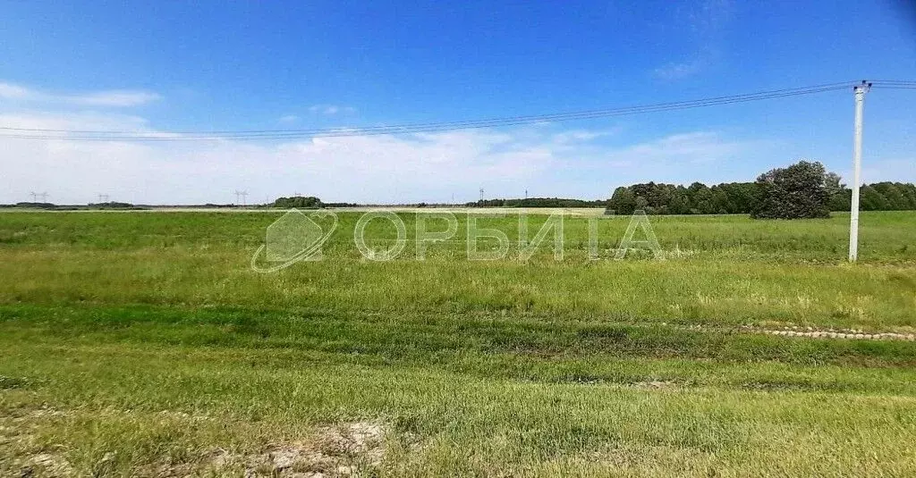 Участок в Тюменская область, Тюменский район, с. Борки  (100.0 сот.) - Фото 0