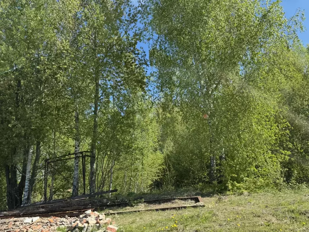 Участок в Калининградская область, Багратионовский муниципальный ... - Фото 2