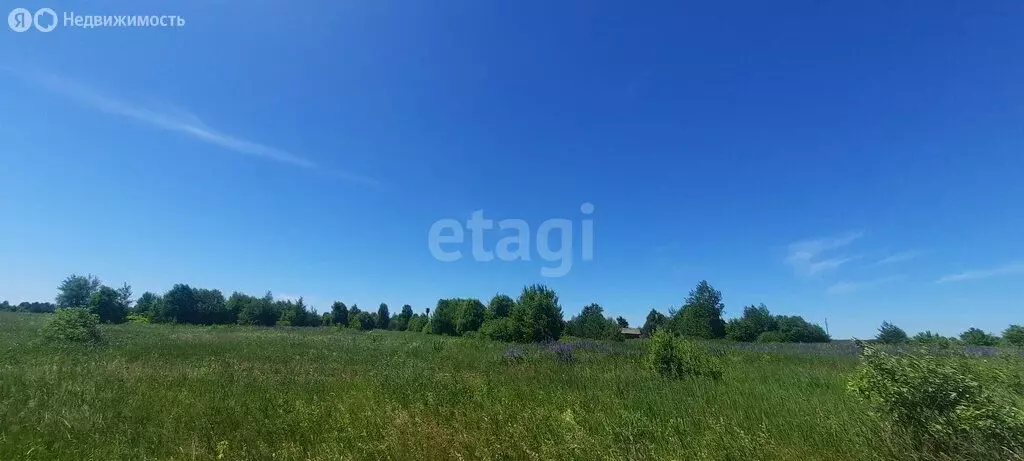 Участок в округ Муром, деревня Зарослово, Новая улица (37.8 м) - Фото 1